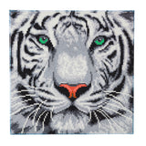 CAK-A96M "White Tiger" 30 x 30cm (Medium)