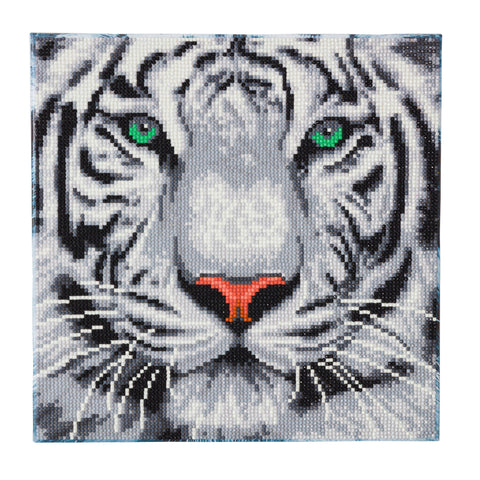 CAK-A96M "White Tiger" 30 x 30cm (Medium)