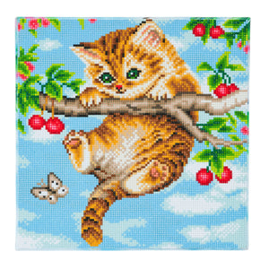 CAK-A73: "Cherry Kitten" 30 x 30cm (Medium)