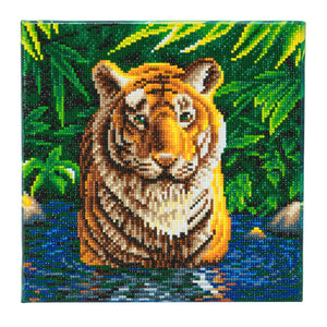 CAK-A74: "Tiger Pool" 30 x 30cm (Medium)