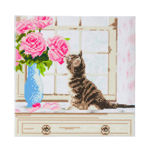 CAK-A93M: "Cat" 30 x 30cm (Medium)