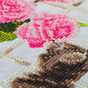 CAK-A93M: "Cat" 30 x 30cm (Medium)