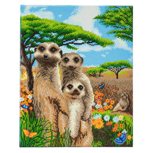 CAK-A70: "Meerkat Family" Framed Crystal Art Kit, 40 x 50cm