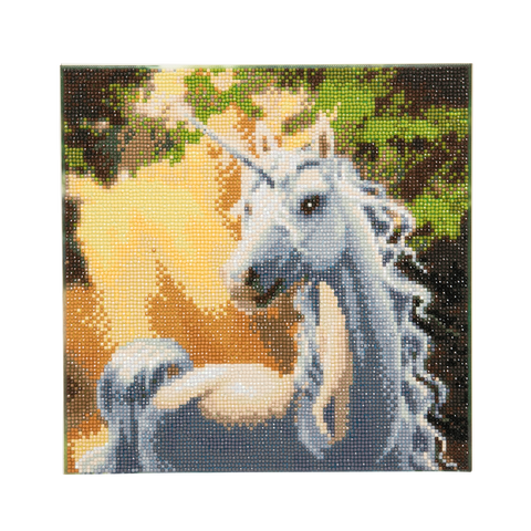 CAK-A34: "Sunshine Unicorn " Framed Crystal Art Kit 30 x 30cm (Medium)