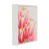 CAK-2020D: "Pink Tulips" Framed Crystal Art Kit, 20x20cm (SMALL)