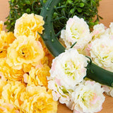 Craft Buddy Begonia Wreath Making Kit Purity