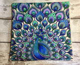 Paint Me Cushion Kit