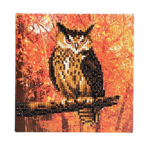 CCK-A10. "Autumn Owl" Crystal Card Kit