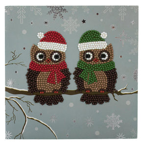 C5. "Pair of Owls" Crystal Card Kit