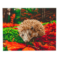 CAK-A106L: "Hedgehog" Framed Crystal Art Kit, 40 x 50cm