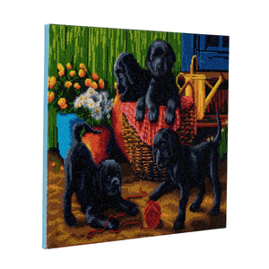 CAK-A58: "Black Labrador Pups" Framed Crystal Art Kit, 40 x 50cm