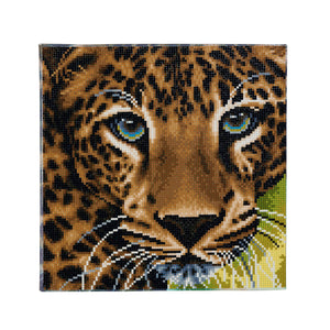 CAK-A66: "Leopard " Framed Crystal Art Kit 30 x 30cm (Medium)