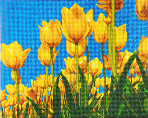 CAK-A89: "Spring Tulips" Framed Crystal Art Kit, 40 x 50cm