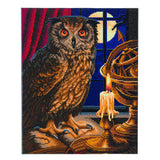 CAK-A99L: The Astrologer Owl Framed Crystal Art Kit, 40 x 50cm