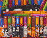 CAK-RS2: Cat Bookshelf by Randal Spangler 40 x 50cm (Large)