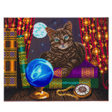 CAK-XLED17 "Fortune Teller" Framed LED Crystal Art Kit - 40 x 50