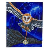 CAK-XLED18 "Heart of the Storm Owl" Framed LED Crystal Art Kit - 40 x 50