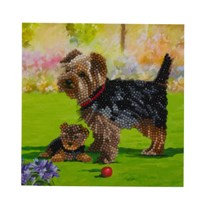 CCK-A46 "Yorkshire Terrier Dogs" Crystal Art Card Kit