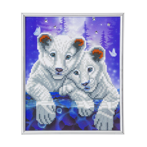 CAM-22: "Lion Cubs" Crystal Art Picture Frame Kit, 21 x 25cm