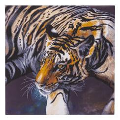 CAK-CH1: The Tiger by Claudia Hahn 70 x 70cm (Super Sized)