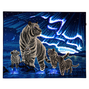 CAK-XLED9 "Aurora Family" Framed LED Crystal Art Kit - 40 x 50