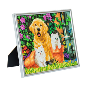 CAM-11: "Cat & Dog" Crystal Art Picture Frame Kit, 21 x 25cm