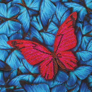 CCK-A41 "Butterfly" Crystal Art Card Kit