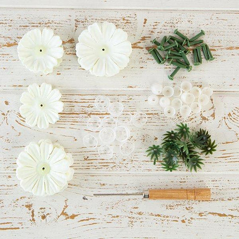 Flower Making Kit - Begonias - Cream