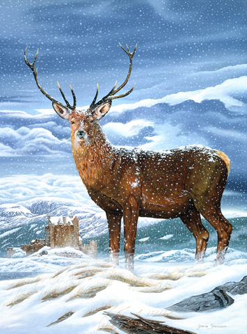 CAM-8: "Royal Scot Stag" Crystal Art "Gallery Collection" Kit, 21 x 25cm